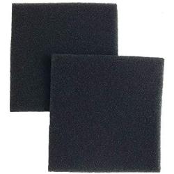 Crucial Vacuum Micro Filtration Filters Replacement - Compatible with Kenmore Part # 20-86883, 86883, 40321 - Allergen Foam Filters Fit Kenmore CF1 Micro Filtration, Progressive Filter (2 Pack)