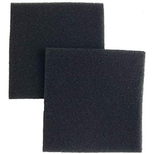 Crucial Vacuum Micro Filtration Filters Replacement - Compatible with Kenmore Part # 20-86883, 86883, 40321 - Allergen Foam Filters Fit Kenmore CF1 Micro Filtration, Progressive Filter (2 Pack)