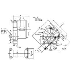 L-faster 36V250W Electric DC Motor Brushes Motor for Electric Bike Conversion Kit Electric Bicycle Scooter Motor (with Mount Plate)