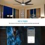 5 Blades Outdoor Smart Ceiling Fan - with Dimmable Light Kit and 10-speed DC Motor, Works with Remote Control/Alexa/Google Home/Siri, Timer, Schedule (Gold/Black)