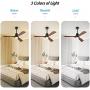 WERBUY Wood Ceiling Fans with Lights Remote Control, 52