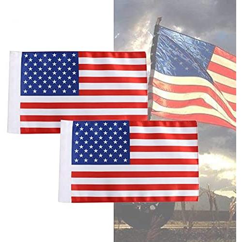 Motorcycle Flag Replacement 6