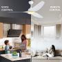 Ovlaim 56 Inch Smart Wifi Alexa Ceiling Fan with Light Remote Control, 6 Speed Quiet DC Motor Ceiling Fan Indoor Outdoor for Living Room Bedroom Veranda, White Gold