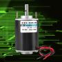 SALUTUYA 12V DC Motor, 30W High Speed CW/CCW Permanent Magnet DC Motor for DIY Generator(DC 12V 3000RPM)