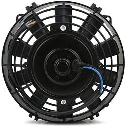 American Volt Dual 6-7