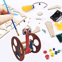 4 Wooden Motor Robotic Science Kits, DIY STEM Toys for Kids, Building Science Experiment Kits for Boys and Girls