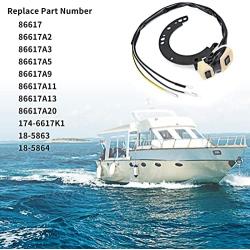 LINGYAO Sierra 18-5864 Marine Stator for Mercury/Mariner Engine Outboard Motor 6-25 HP Replaces 86617A20