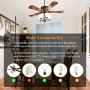 Smart WiFi Ceiling Fan Remote Control Kit with Light Dimming, Universal Fan Speed Light Dimmer Switch Wifi Controller Works with Alexa Google Phone APP Control, 53T Remote 28R Receiver Kit Replacement