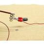 E-outstanding 1 Set Physics Experiment Homemade Electromagnet Experiment DIY kit for Physical and Science Project