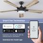 Prominence Home 51649-01 Lorelai Smart Ceiling Fan with Light and Remote, 52, Bronze