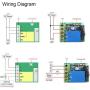 QIACHIP 433Mhz Universal Wireless Remote Control Switch DC 12V 1CH Relay Receiver Module RF Transmitter (2 Transmitters 2 Button+ 1 Receiver 1CH)