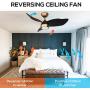 36 Inch Quiet DC Motor Modern Black Gold Ceiling Fan with Dimmable Light Remote Control, 3 Blade Contemporary Indoor Ceiling Fan Small for Kids Bedroom