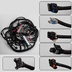 Dasbecan LS Standalone Wiring Harness Compatible with 1999-2006 GM DBC LS1 Swap Vortec 4.8 5.3 6.0 Engine Stand Alone Wire Harness with 4L60E Drive by Cable, 60A Relay, EV1 Fuel Injector Connector