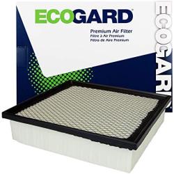 ECOGARD XA6116 Premium Engine Air Filter Fits Toyota Highlander 3.5L 2014-2019, Sienna 3.5L 2011-2020, Avalon 3.5L 2013-2018, Camry 3.5L 2012-2017, Highlander 2.7L 2014-2019