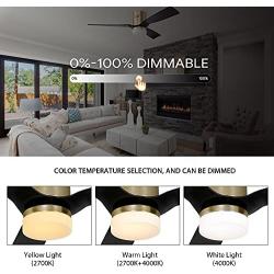 SMAAIR 52 Inch Smart Ceiling Fan with Lights and 10-speed DC Motor, Works with Remote Control/Alexa/Google Home/Siri, Dimmable LED Light (Gold/Black)