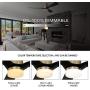 SMAAIR 52 Inch Smart Ceiling Fan with Lights and 10-speed DC Motor, Works with Remote Control/Alexa/Google Home/Siri, Dimmable LED Light (Gold/Black)