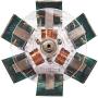 Sunnytech Solar Magnetic Levitation Model olar Vertical Disc Shape Mendocino Motor ST41-QZ05-QZ02