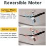 Nocolliny 52” 3 Blade Ceiling Fan with Dimmable LED, Reversible Motor and 3 Speed Settings, Remote Control