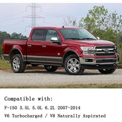 FEXON Power Running Board Motor Pair Left and Right Side Compatible with Ford F150 3.5L 5.0L 6.2L 2007-2014 Replaces AL3Z16A506A AL3Z16A507A