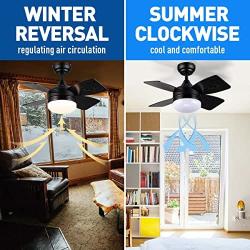 Ceiling Fans with Lights, 30 Inch, Modern Ceiling fan Timing, Dimmable Light, 4 Blades, Reversible Motors, Black Ceiling Fan with Light for Farmhouse, Living Room, Bedroom, Garage, Restaurant