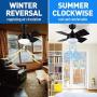 Ceiling Fans with Lights, 30 Inch, Modern Ceiling fan Timing, Dimmable Light, 4 Blades, Reversible Motors, Black Ceiling Fan with Light for Farmhouse, Living Room, Bedroom, Garage, Restaurant