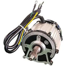 Coldwind Brushless DC Motor for Electric Tricycle,48V60V72V800W1000W1100W1200W Copper Motor-1100w 48v