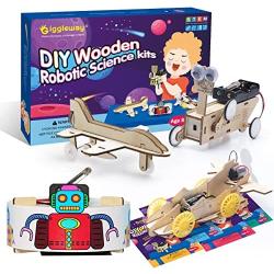 Giggleway DIY Wooden Robotic Science Kits, Model Car Kits for Kids, Hands on STEM Learning Projects, 3D Puzzles Building Kits for Kids Ages 8-12- Reptile Robot, Sweeping Robot, Air-Powered Car, Plane