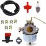 NIMTEK 631918 Carburetor With Spark Plug Fuel Hose Shut Off Valve for Tecumseh HS40 4HP HS50 5HP Engine Carb