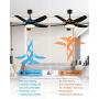 KAPOEFAN 46 Black Ceiling Fan with Lights and Remote, Flush Mount Ceiling Fan with Lights, Modern Ceiling Fan with Noiseless Reversible DC Motor - Adjustable Color Temperature - 6 Speeds -Timing Function for Indoor and Outdoor