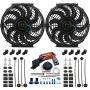American Volt Dual 12-13