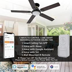 Indoor & Outdoor 52 Inch Ceiling Fan With DC Motor, 10 speeds Ceiling Fan With Dimmable LED Light, Modern Smart Ceiling Fan With Remote, APP, Alexa, Siri & Google Home