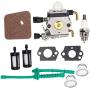 HIFROM C1Q-S97 Carburetor with Air Filter Fuel Line Replacement for STIHL FS38 FS45 FS46 FS55 FS45C FS46C FS55C FS55R FS55RC Trimmer KM55 KM55C Kombi Motor