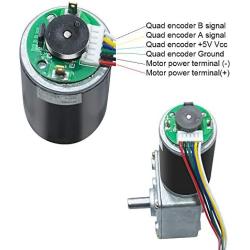 BEMONOC DC 12V 55RPM Worm Gear Motor, with Encoder and Cable High Torque Speed Reduction Motor for Robots & Toys