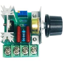 2Pcs 2000W PWM AC Motor Speed Control Module Dimmer Speed Regulator 50-220V Adjustable Voltage Regulator