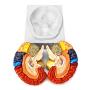 QWORK Life-Size Human Brain Anatomical Model, Color-Coded Partitioned Brain, 2 Parts, Anatomically Accurate Brain Model for Science Classroom Study Display Teaching Medical Model