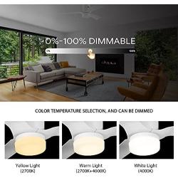 SMAAIR 52 Inch Smart Ceiling Fan with Lights and 10-speed DC Motor, Works with Remote Control/Alexa/Google Home/Siri Shortcut, Dimmable LED Light (White)