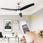 Nocolliny 52” 3 Blade Ceiling Fan with Dimmable LED, Reversible Motor and 3 Speed Settings, Remote Control