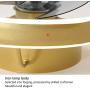 Ceiling Fan with Light and Remote Control, Modern Fan Light with 3 Invisible Fan Blades, Noiseless Reversible DC Motor for Bedroom/Living Room/Study/Kitchen/Porch (Gold) Ceiling Fan with Light and Remote Control, Modern Fan Light with 3 Invisible Fan Blades, Noiseless Reversible DC Motor for Bedroom/Living Room/Study/Kitchen/Porch (Gold)