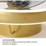 Ventilateur de plafond avec lumière et télécommande, Ventilateur moderne avec 3 pales invisibles, Moteur DC sans bruit réversible pour chambre/salon/bureau/cuisine/véranda (Or) Ventilateur de plafond avec lumière et télécommande, Ventilateur moderne avec 3 pales invisibles, Moteur DC sans bruit réversible pour chambre/salon/bureau/cuisine/véranda (Or)
