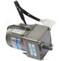 Bemonoc 25W AC 220V 50/60HZ Adjustable Variable Gear Reducer Motor 22RPM & AC Speed Controller Kits CW CCW for industry
