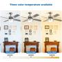 warmiplanet Ceiling Fan with Lights Remote Control, 52 Inch, Brushed Nickel Motor (4-Blades)…