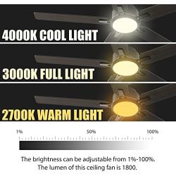 Smart Ceiling Fan with Lights, Indoor & Outdoor Ceiling Fan with Remote, 10 Speeds Smart Ceiling Fan Compatible with Alexa, Siri & Google, 52 Inch Modern Ceiling Fan with DC Motor, Black Ceiling Fan