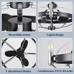 Black Caged Ceiling Fan with Lights Remote Control, MADSHNE 23 Modern Industrial Chandelier Ceiling Fan with Light, Bladeless Ceiling fan Light, DC Motor Reversible