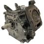 Auto Express GX200 6.5 HP Short Block Fits Honda Engine Crankcase Piston Crankshaft Cam