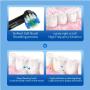 2 Pack Adult Electric Toothbrush Small Round Head Swivel Clean Rechargeable Electric Toothbrush with 8 Replacement Toothbrush Heads