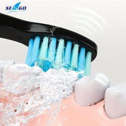 Seago Water Flosser with Rechargeable Electric Toothbrush Adults Sonic Tooth Brush 8 Pieces Brush Heads Oral Dental Irrigator 5 Nozzle Tips White Black Home Gift